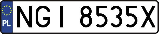NGI8535X