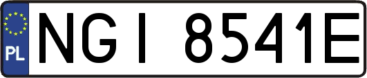 NGI8541E