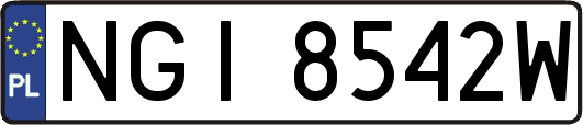 NGI8542W