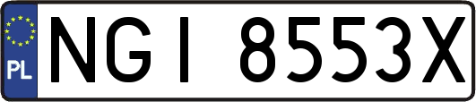NGI8553X