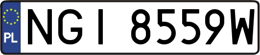 NGI8559W