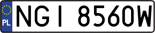 NGI8560W
