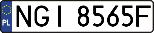 NGI8565F