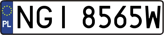 NGI8565W