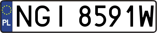 NGI8591W
