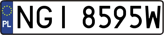 NGI8595W