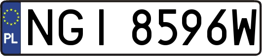 NGI8596W