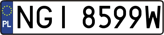 NGI8599W