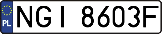 NGI8603F