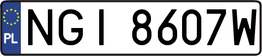NGI8607W