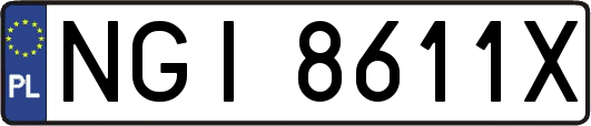 NGI8611X