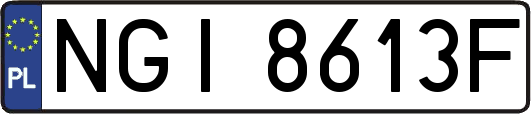 NGI8613F