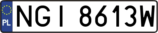 NGI8613W
