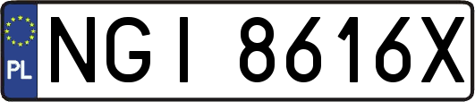 NGI8616X