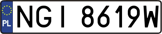 NGI8619W