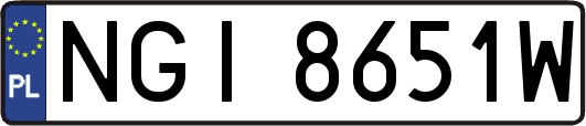 NGI8651W