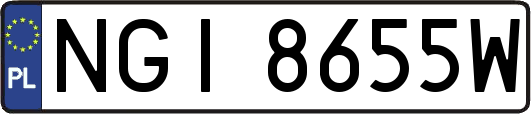 NGI8655W