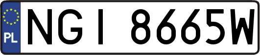 NGI8665W