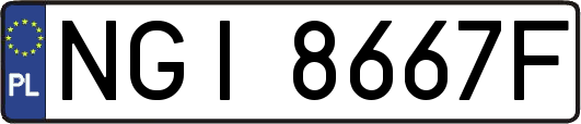 NGI8667F