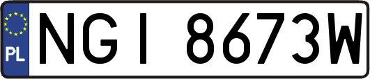 NGI8673W