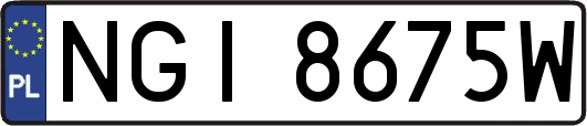 NGI8675W