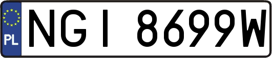 NGI8699W