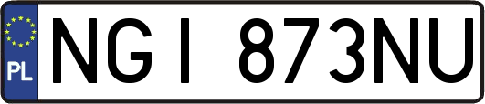 NGI873NU