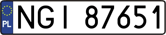 NGI87651