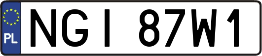 NGI87W1