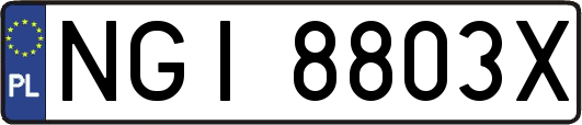 NGI8803X