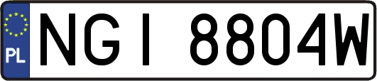 NGI8804W