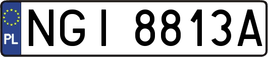 NGI8813A
