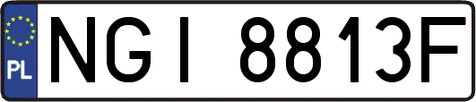 NGI8813F