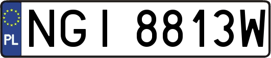 NGI8813W