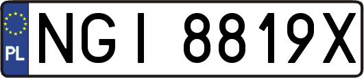 NGI8819X