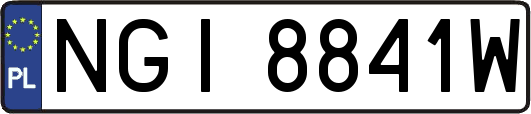 NGI8841W