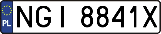 NGI8841X