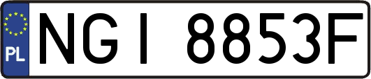 NGI8853F