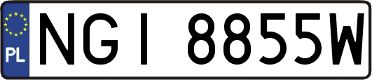 NGI8855W