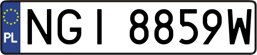 NGI8859W