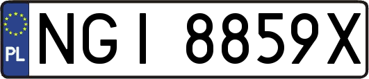 NGI8859X
