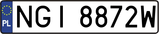 NGI8872W