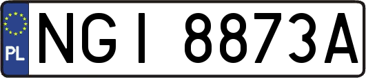NGI8873A