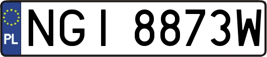 NGI8873W