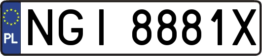 NGI8881X