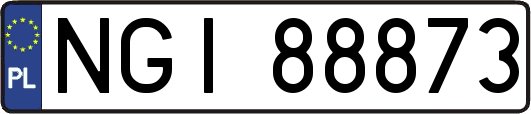 NGI88873