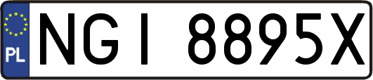 NGI8895X