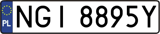 NGI8895Y