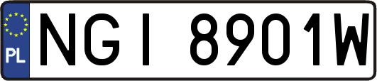 NGI8901W