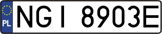 NGI8903E
